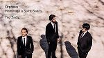 Orpheus : Hommage à Saint-Saëns, par le Trio Zadig