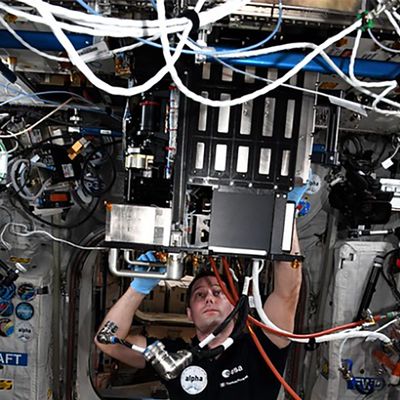 L'emploi du temps chargé des astronaures