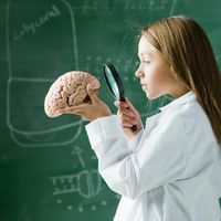 Haut potentiel, précoce, zèbre : y a-t-il un marché de l'intelligence ?