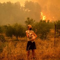 L'année 2021 a été marquée par des incendies géants, en Grèce notamment