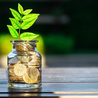 Cette jeune société compte 350 clients deux mois après son lancement, quand elle en vise 1 500 à la fin de l’année pour 10 millions d’euros sous gestion.