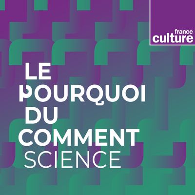 Le Poiurquoi du comment science