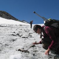 Prélèvement d’ossements de mulets sur le glacier du Théodule à Zermatt (VS, Suisse)