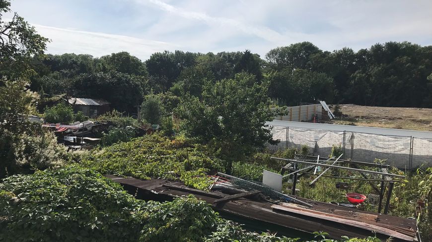 L'avenir des jardins ouvriers d'Aubervilliers est en suspens. Un site olympique est censé voir le jour sur 4000 m2 de parcelles.