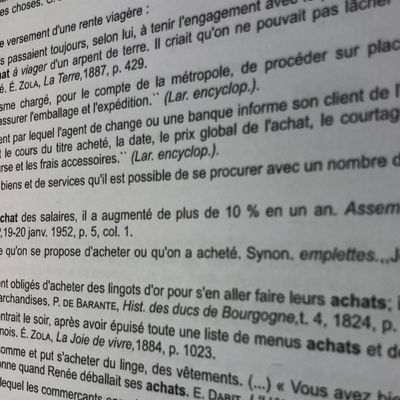 Définition du pouvoir d'achat d'après le dictionnaire en ligne cntrl