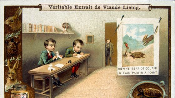 Illustration de la fable de Jean de La Fontaine « Le Lièvre et la Tortue » dans une édition de 1900 ©Getty - Universal History Archive / Universal Images Group