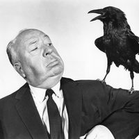 Le réalisateur britannique Alfred Hitchcock pose avec un corbeau pour la promotion de son film "Les Oiseaux".