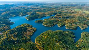 Forêt au Lac de Pierre-Percée