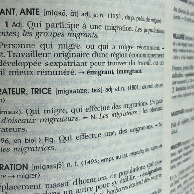 "Migrants" : D’où vient ce mot, comment est-il utilisé politiquement, comment résonne-t-il dans le débat public ?