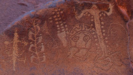 Art australien aborigène dans les grottes de la péninsule de Burrup au Nord-Ouest de l'Australie. ©AFP - © GREG WOOD