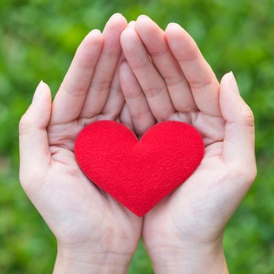 Des recherches sur les mécanismes de l’amour
