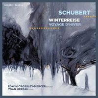 Winterreise op 89 D 911 : 4. Erstarrung