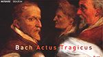 Cantate "Actus Tragicus" de JS Bach, dirigée par Philippe Pierlot