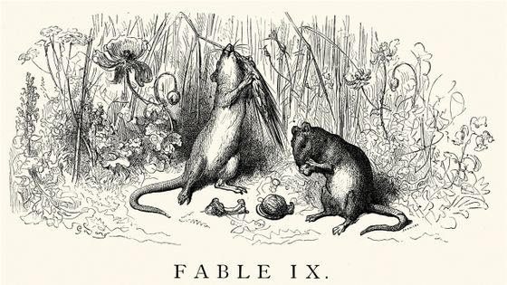 Illustration des Fables de La Fontaine par Gustave Doré, ici "Le rat des villes et le rat des champs". Gravure ©Getty - duncan1890