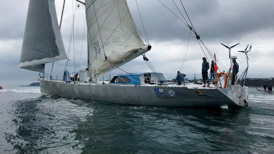 Le voilier Iris, de l'entreprise d'océanographie Blue Observer, dans la rade de Brest ©Radio France - Mathilde Cariou