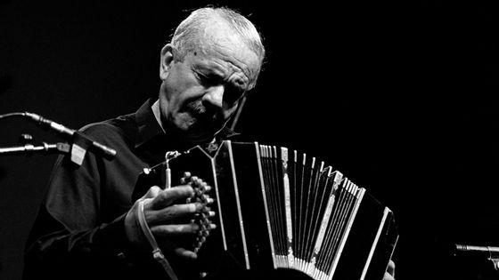 Astor Piazzolla jouant au "North Sea Jazz Festival" ©Getty - Paul Bergen / Contributeur