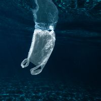 Un petit sac errant, empreinte humaine, objet relationnel...