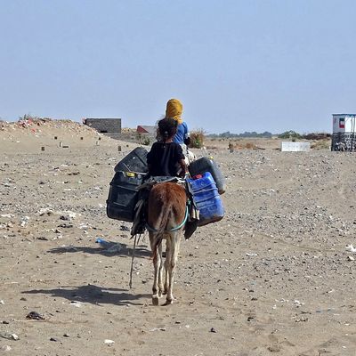 Filles sur un âne portant des bidons d’eau dans un camp de déplacés au Yémen, près de la zone de conflit de la province de Hodeida, le 4 décembre 2021.
