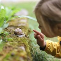 Une enfant observant un escargot dans la nature
