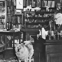 Sigmund Freud dans son bureau à Vienne en 1936
