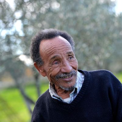 Pierre Rabhi chez lui, en Ardèche, en 2015