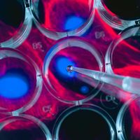 L’astrophysique de laboratoire désigne la reproduction, à petite échelle, des conditions dans lesquelles se forment ou évoluent des phénomènes astrophysiques.