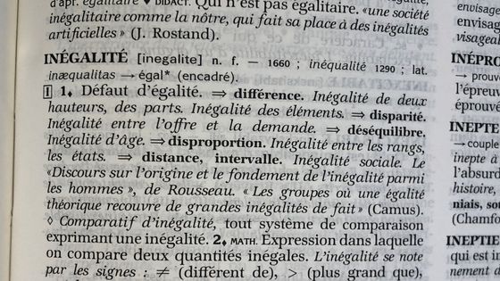 Savons-nous regarder les inégalités ? - Sarah Marx