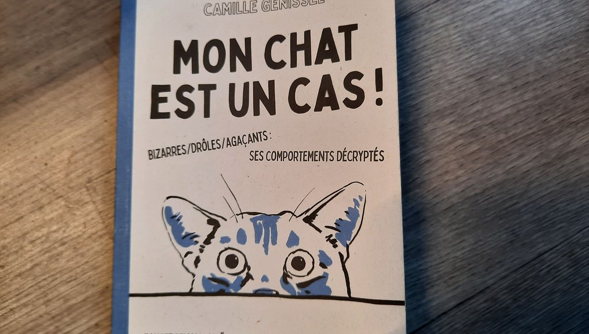 Circuit Bleu Cote Experts Week End