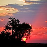 "Entre le ciel et l'eau" (ici le Lac Bangweulu en Zambie)