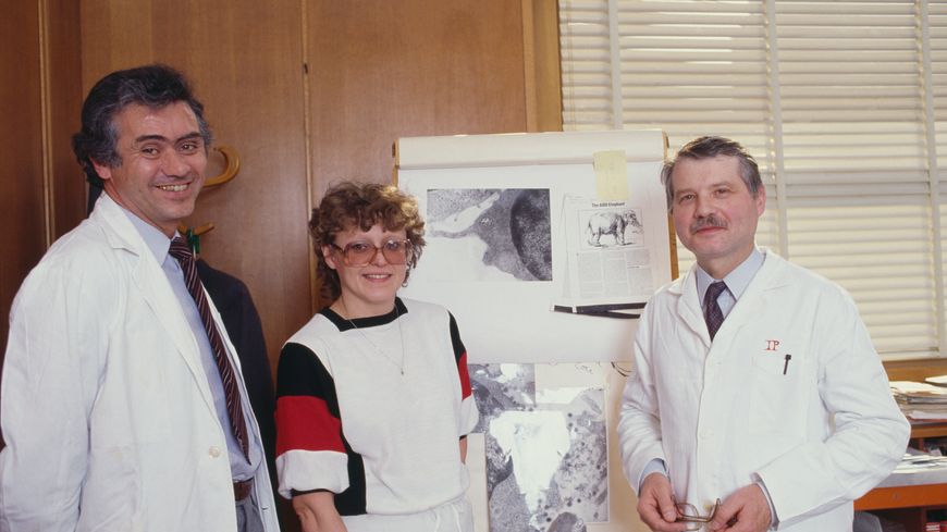 Jean-Claude Chermann, Francoise Barré-Sinoussi, et Luc Montagnier à l'Institut Pasteur.