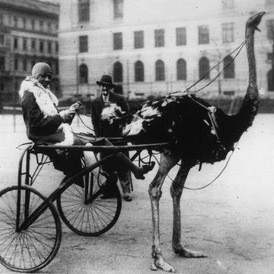 Josephine Baker