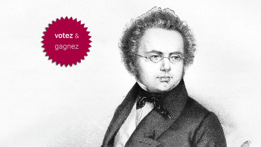Le compositeur autrichien Franz Schubert (1797-1828)