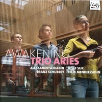 Trio avec piano en ut min op 2 : 3. Vivace