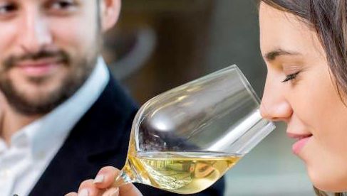 Abacchus, une école du vin en Touraine Abacchus, une école du vin en Touraine