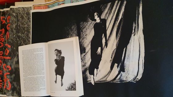 Affiche du spectacle SOLO de J. Taffanel (1982), sous une image du solo EXTASE de K. Weiner (1962). - Gilles Mardirossian