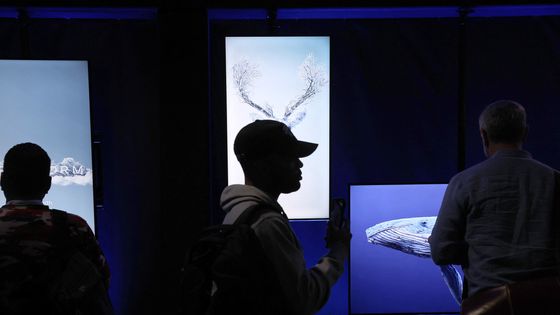 Exposition de NFTs dans une galerie lors de la BitCoin Conférence le 19 janvier 2022, Miami, Floride ©AFP - JOE RAEDLE