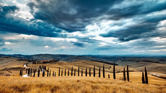 Paysage toscan ©Getty - gehringj