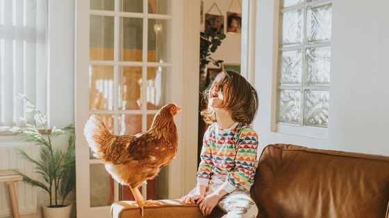 Une enfant éclate de rire au propos de sa poule ©Getty - Catherine Falls