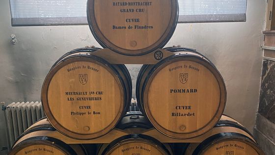 La Cuvée Meursault, entre autres grands crus ©Getty - Francois LOCHON / Contributeur