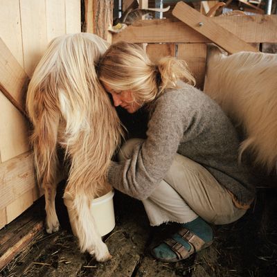 "Le temps d'une pause", une série photographique sur le wwoofing en France réalisée par Cloé Harent, prix Jeune Photographe 2021.