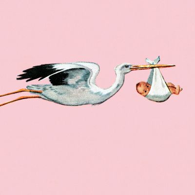 L'arrivée du bébé, cet inconnu