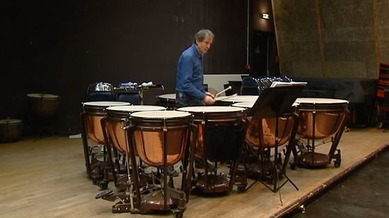 Le timbalier solo de l’Orchestre National de Lyon Benoit Cambreling - capture d'écran Youtube