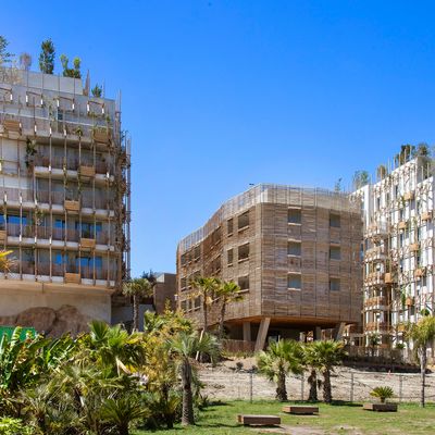 Le site de l’ancien stade du Ray à Nice, grand projet à façades végétalisées avec 345 logements.
