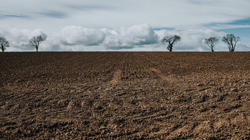 L'Etat face aux décisions environnementales