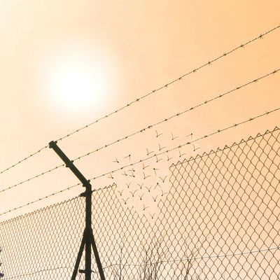 Pourquoi les sociétés humaines tracent-elles des frontières ?