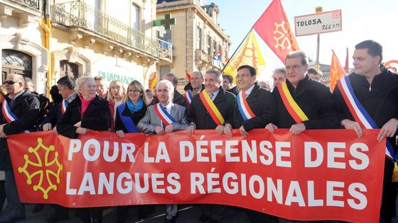 Manifestation pour la défense des langues régionales en France, 2010. ©AFP - AFP/Pascal Guyot