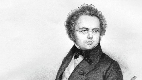 Le compositeur autrichien Franz Schubert (1797-1828) - Aucun