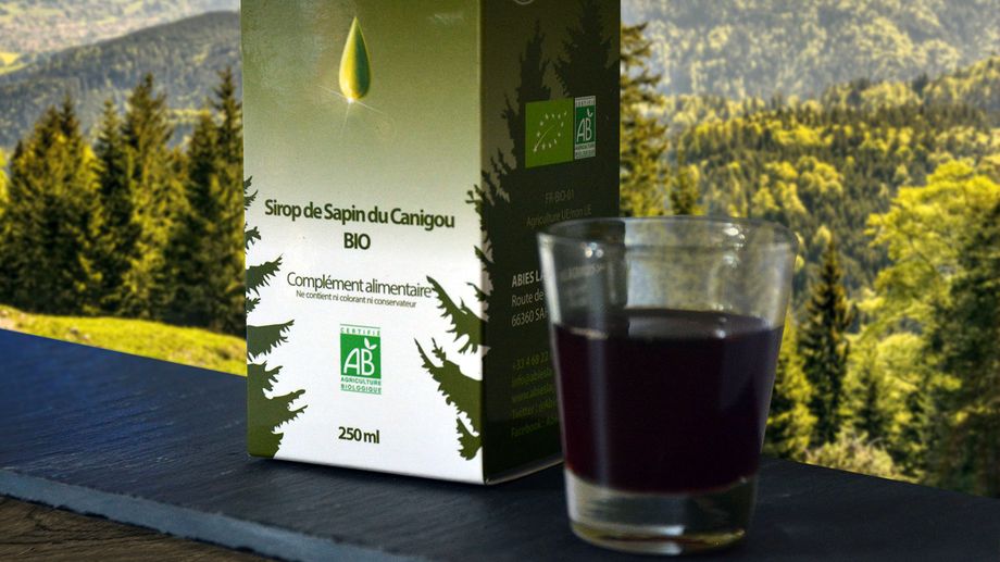 Le sirop de sapin du Canigou et la sève du bouleau des Pyrénées