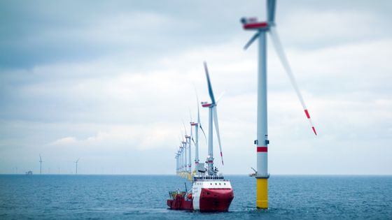 Cinq projets de parcs éoliens offshore sont en cours au large des côtes normandes. ©Getty - CharlieChesvick