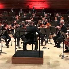 Johann Strauss I : Lorelei Rhein Klänge